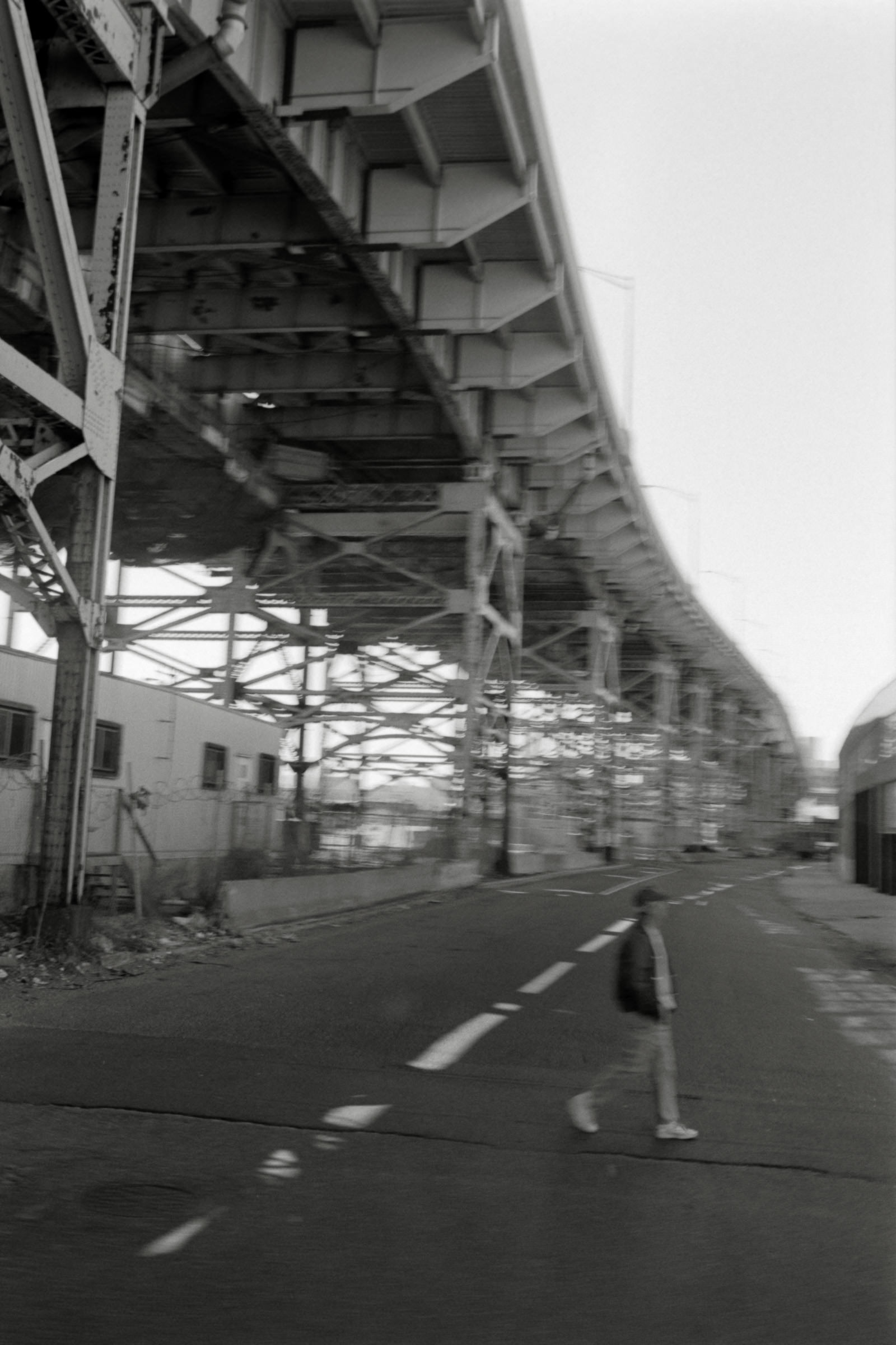 AHP F1995 04 009 sc240817 img32 NLP